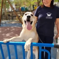 Adopta a Bartolo