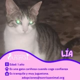 Adopta a Lia