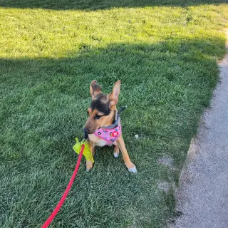 Yuki
