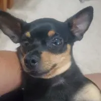 Adopta a Gara