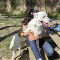 Adopta a Marcos