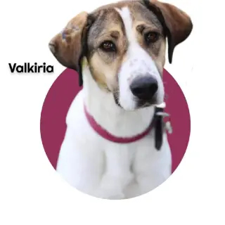 Valkiria