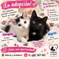 Adopta a Hermanitos