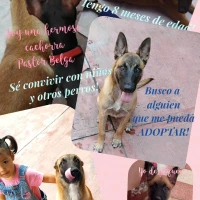 Adopta a Keeper