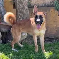 Adopta a Athos