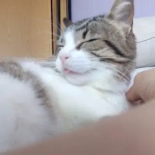 Ramira