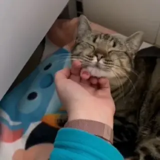 Piti Ro