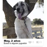 Adopta a May