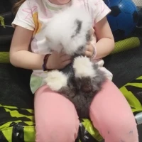 Adopta a Lila