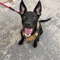 Adopta a Carbón