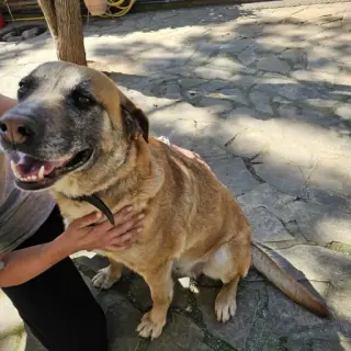 Ianca