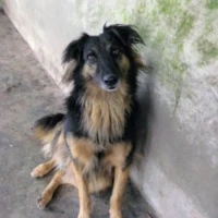 Adopta a Marina