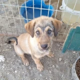 Adopta a Mati