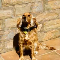 Adopta a Duna