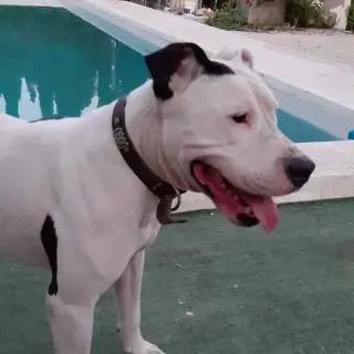 Jack