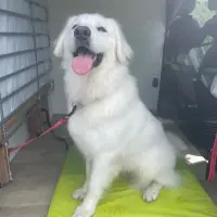Adopta a Mirta