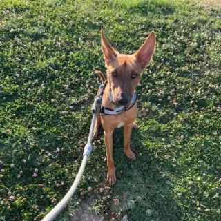 Kairo