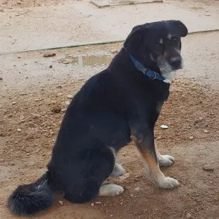 Konu