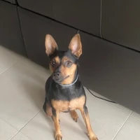 Adopta a Nami