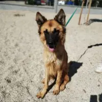 Adopta a Emma