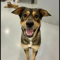 Adopta a Lina