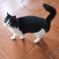 Adopta a Mariela Fel