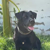 Adopta a Duna