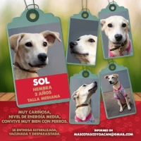 Adopta a Sol