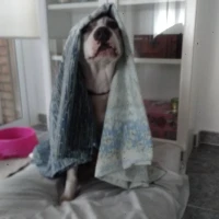 Adopta a Nena