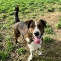 Adopta a Quim
