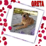 Adopta a Greta