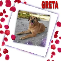 Adopta a Greta