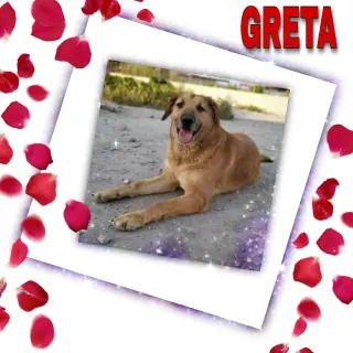 Greta