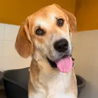 Adopta a Nautilus