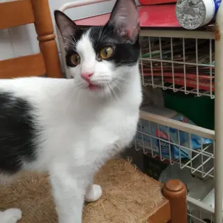 Tina